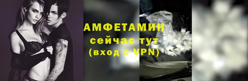 Amphetamine Розовый  Данилов 