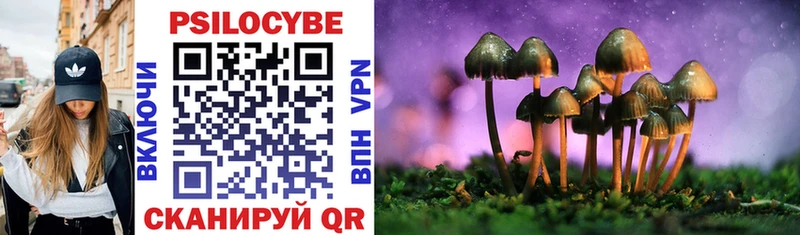 купить наркоту  Данилов  Галлюциногенные грибы Psilocybe 